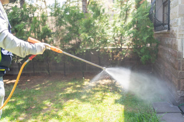 Best Cockroach Control Services  in Six Shooter Canyon, AZ