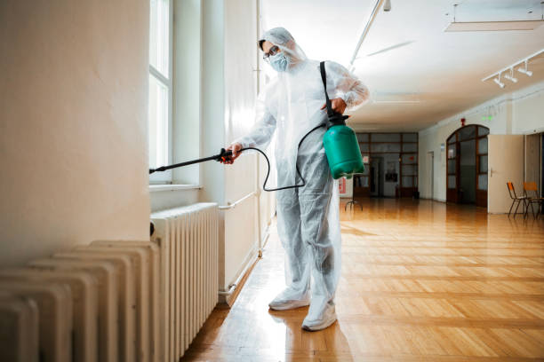Trusted Six Shooter Canyon, AZ Pest Control Experts