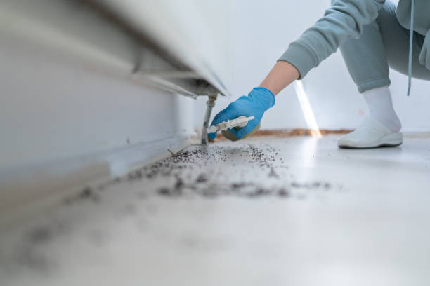 Best Best Pest Control Companies  in Six Shooter Canyon, AZ